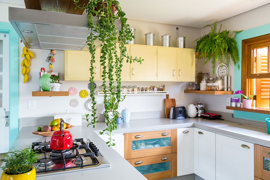 plantas em apartamento